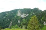 2014-07-05_Laengental-N-Hochweg (820). JPG